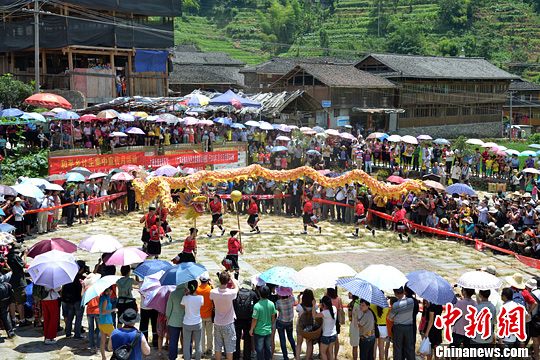 圖為當(dāng)?shù)丶t瑤民眾舞起長(zhǎng)龍祈求風(fēng)調(diào)雨順。中新社發(fā) 韋吉陽 攝