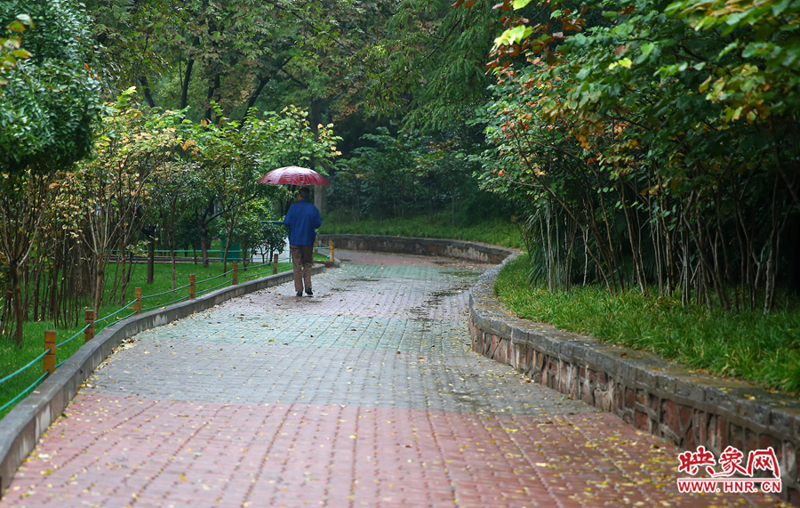 一位市民在雨中漫步