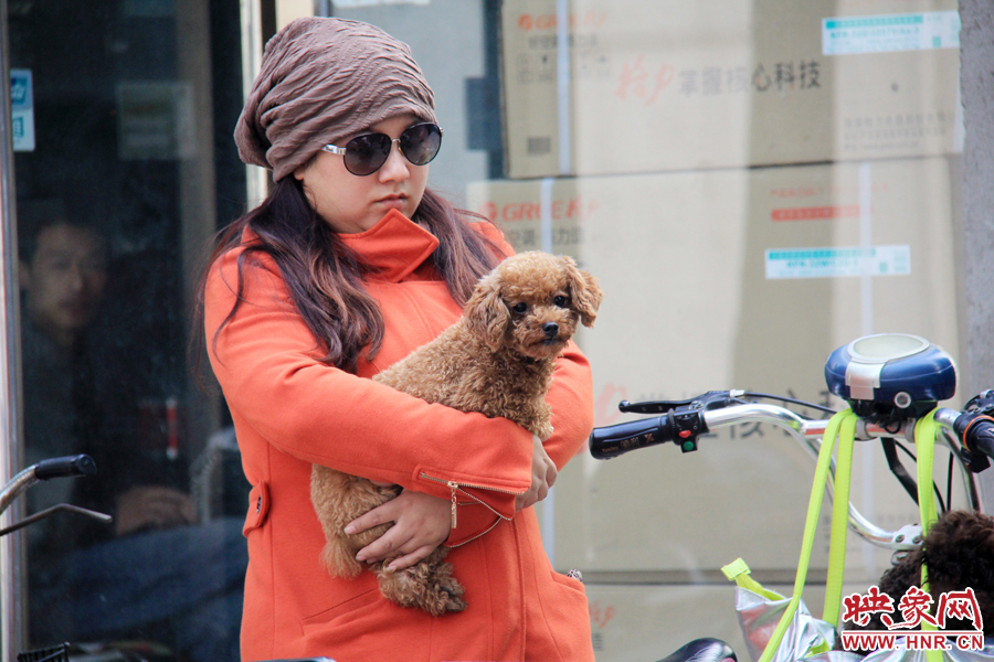 一名市民在抱著愛(ài)犬等待辦證