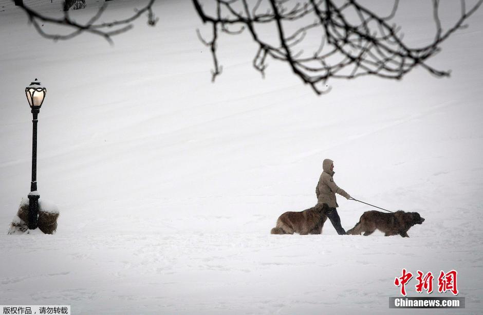 美國中東部遭暴風(fēng)雪肆虐 街頭房屋變“冰屋”