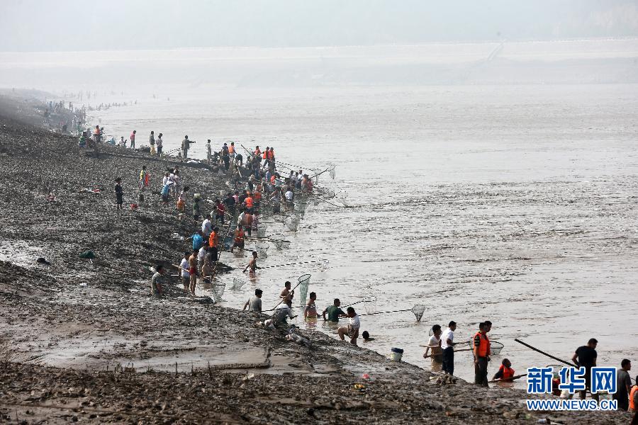 7月6日,在山西省平陸縣黃河岸邊,人們?cè)诤舆叢稉泣S河“流魚”。