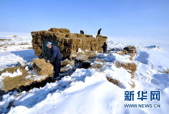 直擊內(nèi)蒙古錫林郭勒盟罕見“鐵災”救助十萬火急