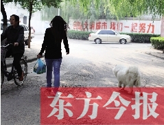 啟明一巷內(nèi)，一名女子帶著狗狗去買菜。狗隨地大小便，狗的主人未制止