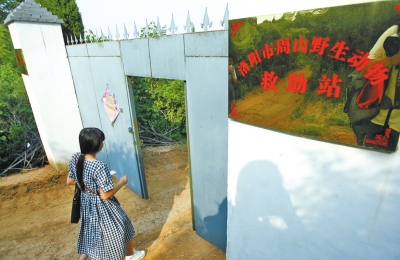 掛著兩塊牌子：分別是洛陽市周山野生動物救助站和周山森林公園野生動物保護區(qū)