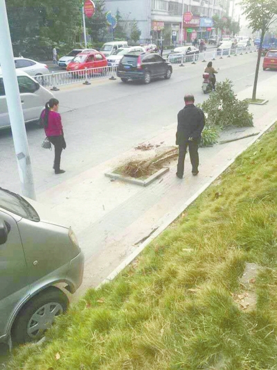 信陽一轎車沖上人行道軋死嬰兒 司機(jī)疑醉駕