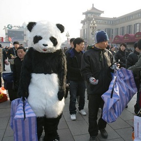 旅客扮熊貓體驗春運