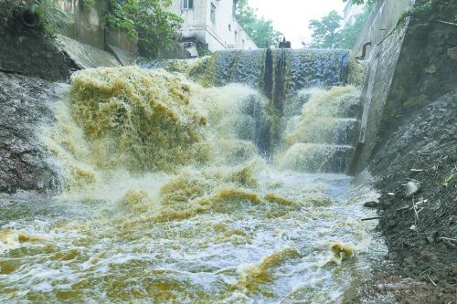 洛陽(yáng)澗河遭大明渠中污水肆虐 釣出魚(yú)兒都帶油腥