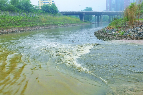 洛陽(yáng)澗河遭大明渠中污水肆虐 釣出魚(yú)兒都帶油腥