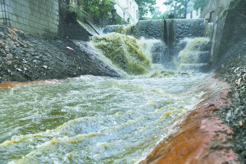 洛陽(yáng)澗河遭大明渠中污水肆虐 釣出魚(yú)兒都帶油腥