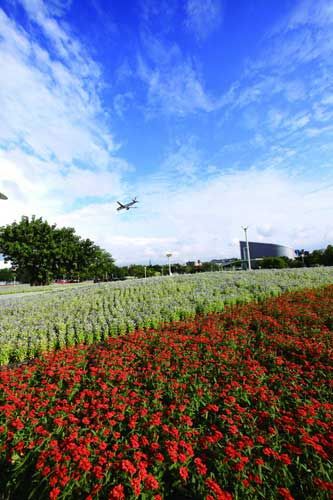 臺(tái)北國(guó)際花卉博覽會(huì) 王能佑攝