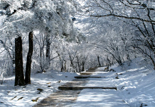 黃山景區(qū)冬季特色優(yōu)惠相約黃山之巔看雪