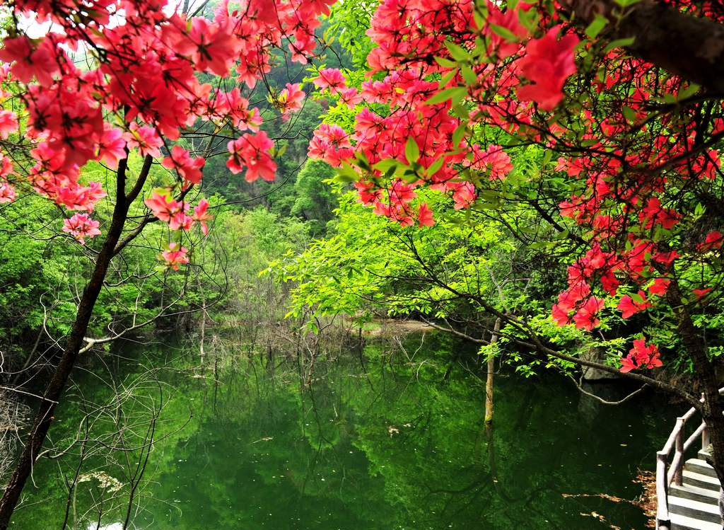 母親節(jié)河南景區(qū)優(yōu)惠大波來襲！