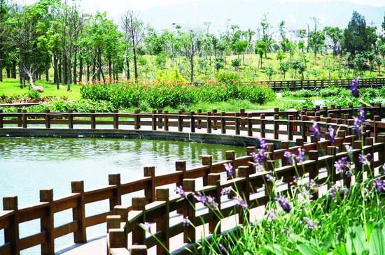 樂享綠色夏日 濕地公園生態(tài)親水之旅