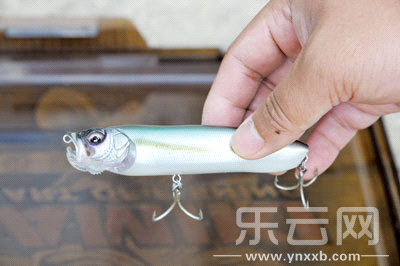 　　又稱擬餌釣魚,起源于歐洲,國內(nèi)翻譯為“路亞”。