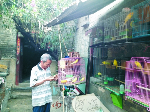 郭家大院的看護(hù)人郭天育老人在給鸚鵡喂食，對(duì)大院，他很不舍。