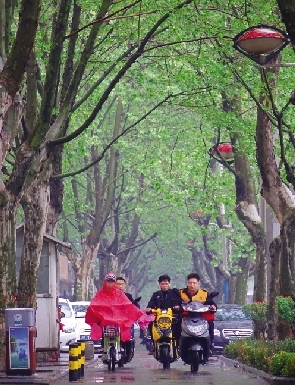 小雨中美麗的嵩山路