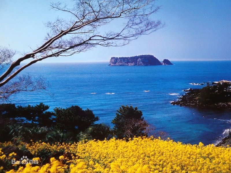 濟(jì)州島