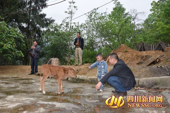 村里人知道后，前來看熱鬧