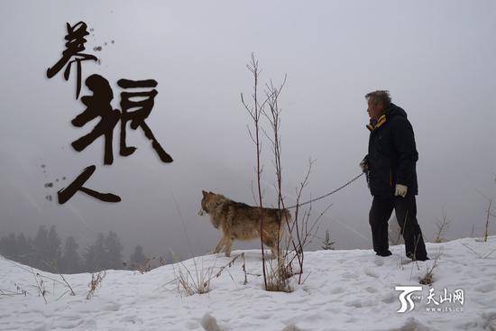 7旬老人養(yǎng)150匹野狼 伙食費1年花近百萬