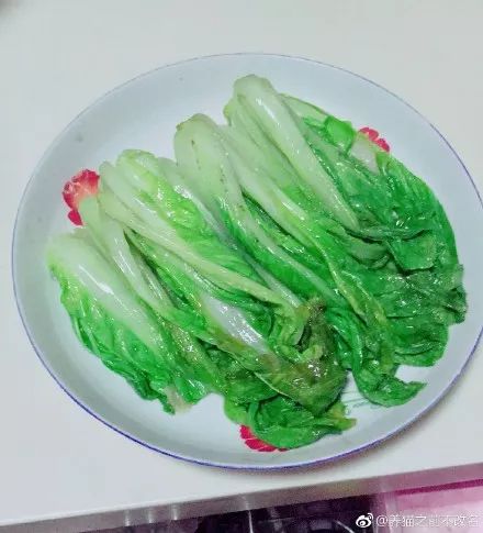 換北方人驚呆!南方人點菜一定加青菜 色號都有要求