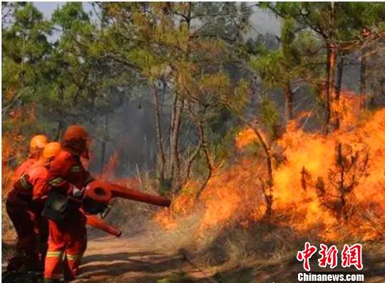 一男子“隱居”山林不慎引發(fā)火災(zāi)因失火罪獲刑