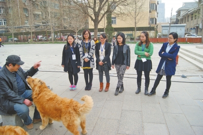 5歲金毛犬會加減乘法 蒙上雙眼可準(zhǔn)確"說"出男女人數(shù)