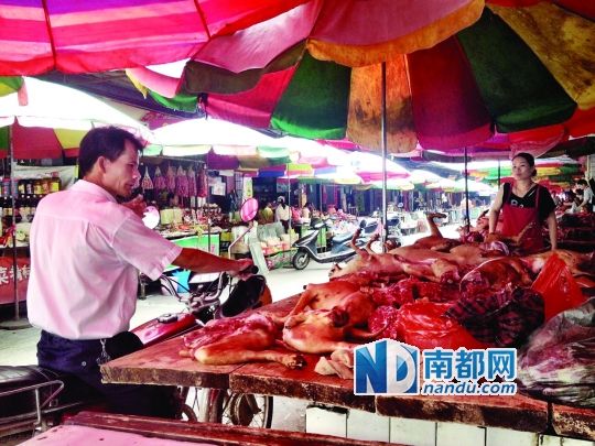  昨日，玉林垌口市場(chǎng)，一位市民在購(gòu)買狗肉。