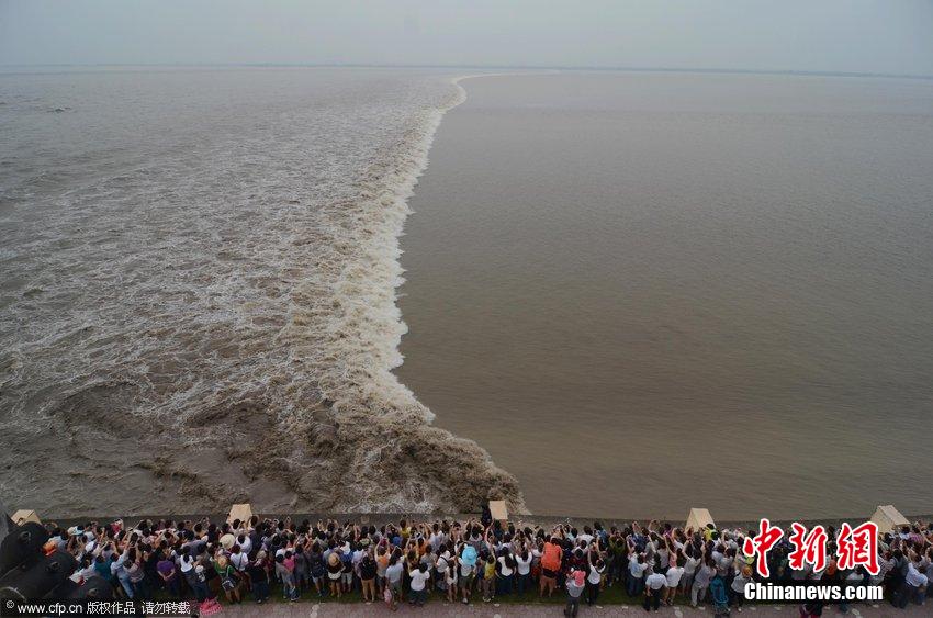 數(shù)萬(wàn)人浙江嘉興觀看錢(qián)塘大潮