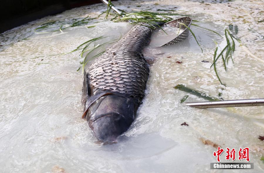 “魚(yú)王”在3米大鍋內(nèi)烹飪。 圖片來(lái)源：CFP視覺(jué)中國(guó)