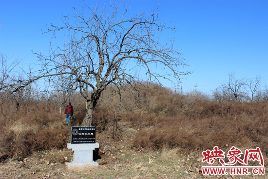 在叔齊墓的前面，豎著新鄭市人民政府今年剛立的石碑，上面寫著“新鄭市文物保護單位”。