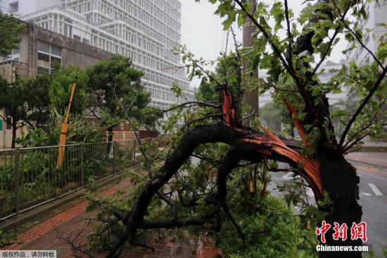 臺風(fēng)“浣熊”登陸日本破壞力大 已致至少2人死