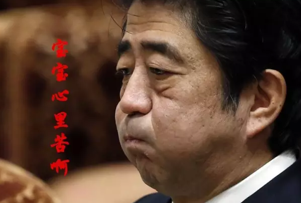 這種看安倍“熱鬧”的事兒，環(huán)環(huán)絕不私藏，一定雨露均沾!