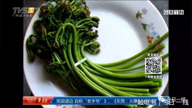 一家三口餐館吃了頓飯 卻全部洗胃被下病危通知書(shū)