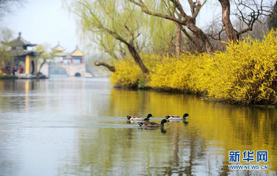 青奧會指定接待景區(qū) 五大特色景區(qū)開啟青奧之旅