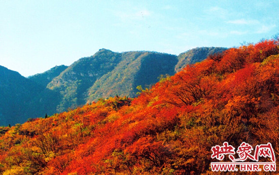 嵩山紅葉:中原第一紅葉 金秋游覽休閑最強(qiáng)攻略