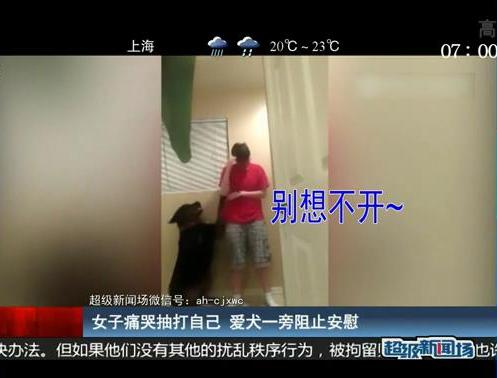 女子痛哭抽打自己 愛犬一旁阻止安慰