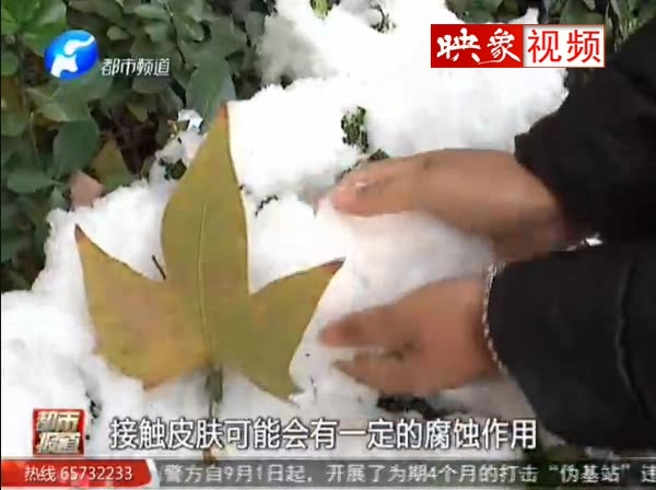 雪里有毒 是真的嗎