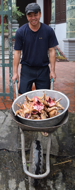 越南貓肉餐廳：將貓淹死、剝皮、切成小塊，再油炸